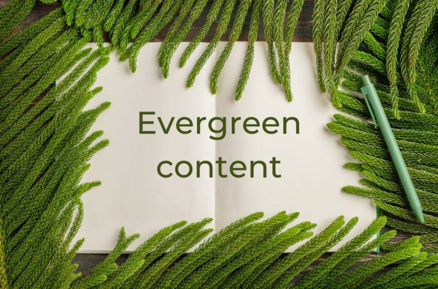 Evergreen content – po co i jak tworzyć wiecznie świeże treści?